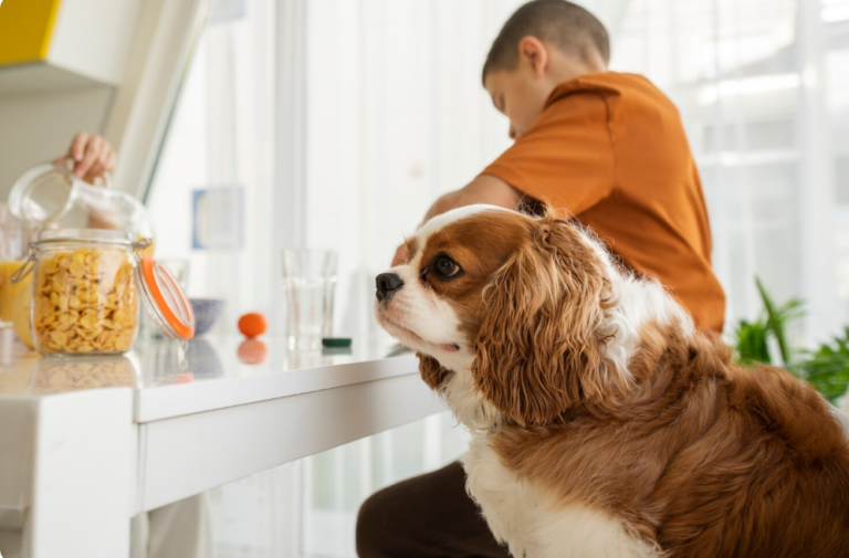 Best Wet Puppy Food Options Reviewed: What Vets Recommend