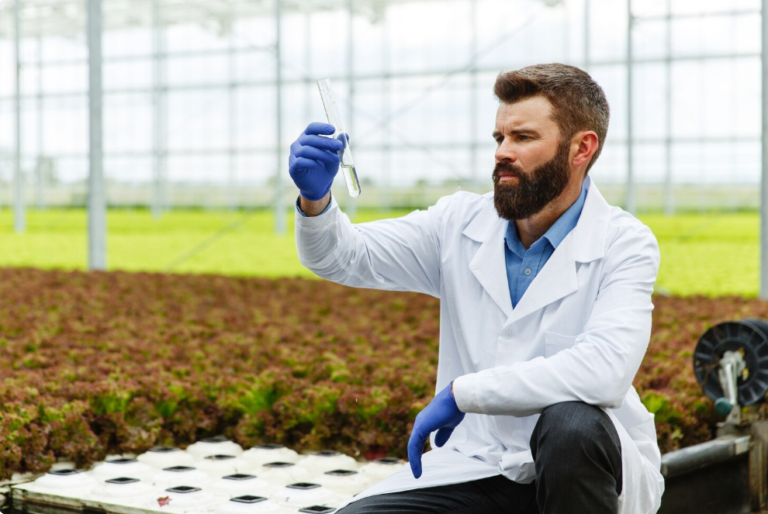 Trichoderma Inoculants for Nutrient Management Programs