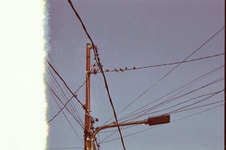 trusted support contact number