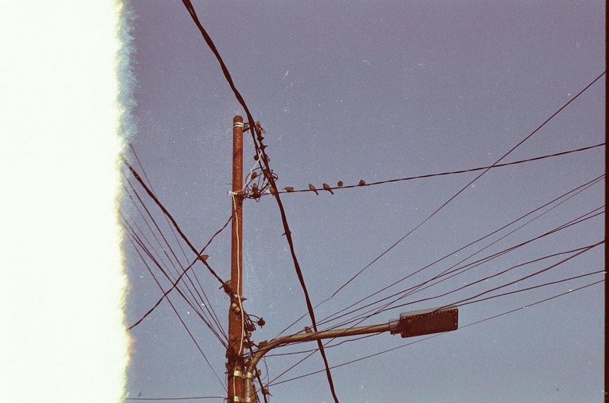 trusted support contact number